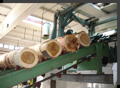 wood-processing